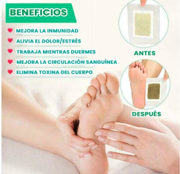 Parches de Bienestar con Jengibre y Bambú — Ritual Nocturno (Pack 50 unidades)