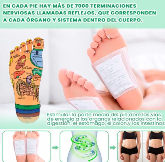 Parches de Bienestar con Jengibre y Bambú — Ritual Nocturno (Pack 50 unidades)